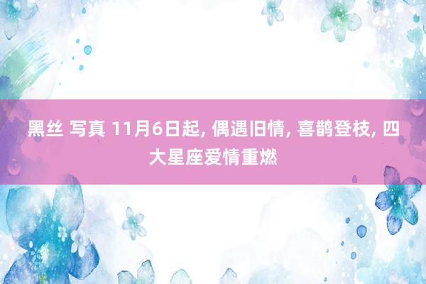 黑丝 写真 11月6日起， 偶遇旧情， 喜鹊登枝， 四大星座爱情重燃
