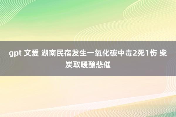 gpt 文爱 湖南民宿发生一氧化碳中毒2死1伤 柴炭取暖酿悲催