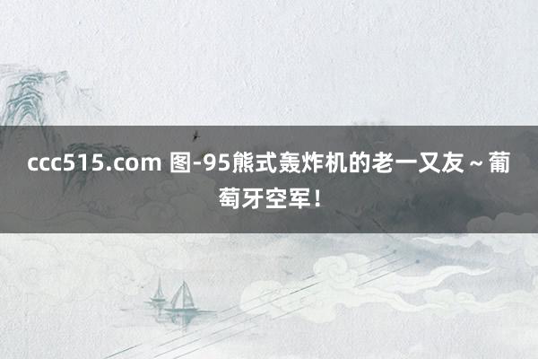 ccc515.com 图-95熊式轰炸机的老一又友～葡萄牙空军！