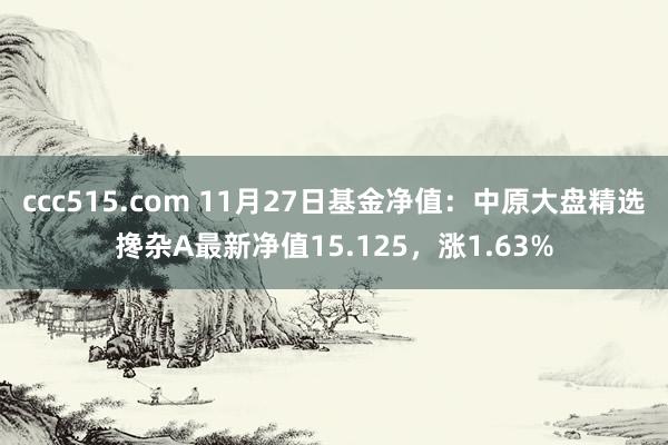 ccc515.com 11月27日基金净值：中原大盘精选搀杂A最新净值15.125，涨1.63%