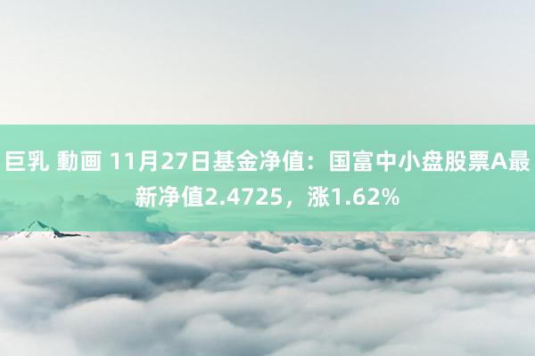 巨乳 動画 11月27日基金净值：国富中小盘股票A最新净值2.4725，涨1.62%