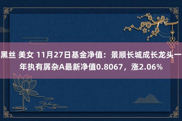 黑丝 美女 11月27日基金净值：景顺长城成长龙头一年执有羼杂A最新净值0.8067，涨2.06%