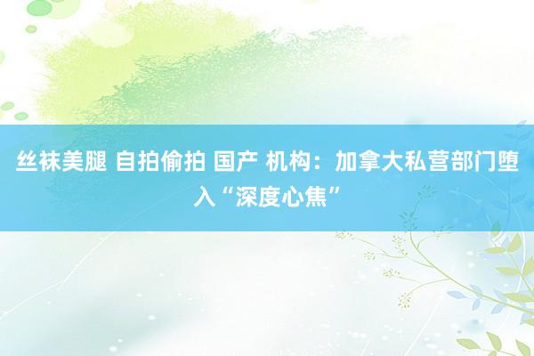丝袜美腿 自拍偷拍 国产 机构：加拿大私营部门堕入“深度心焦”