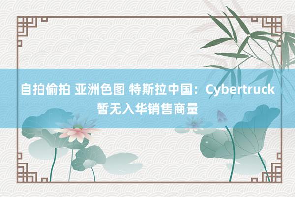 自拍偷拍 亚洲色图 特斯拉中国：Cybertruck暂无入华销售商量