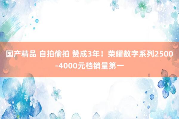 国产精品 自拍偷拍 赞成3年！荣耀数字系列2500-4000元档销量第一