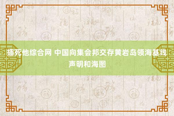 插死他综合网 中国向集会邦交存黄岩岛领海基线声明和海图