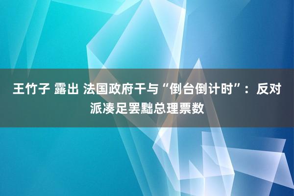 王竹子 露出 法国政府干与“倒台倒计时”：反对派凑足罢黜总理票数
