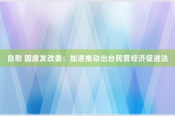 自慰 国度发改委：加速推动出台民营经济促进法