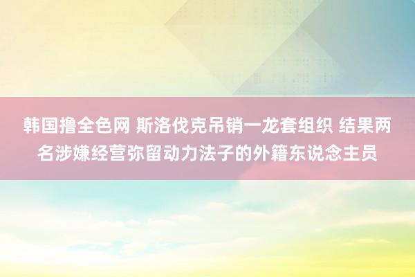 韩国撸全色网 斯洛伐克吊销一龙套组织 结果两名涉嫌经营弥留动力法子的外籍东说念主员