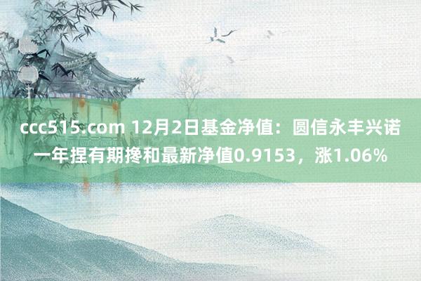 ccc515.com 12月2日基金净值：圆信永丰兴诺一年捏有期搀和最新净值0.9153，涨1.06%