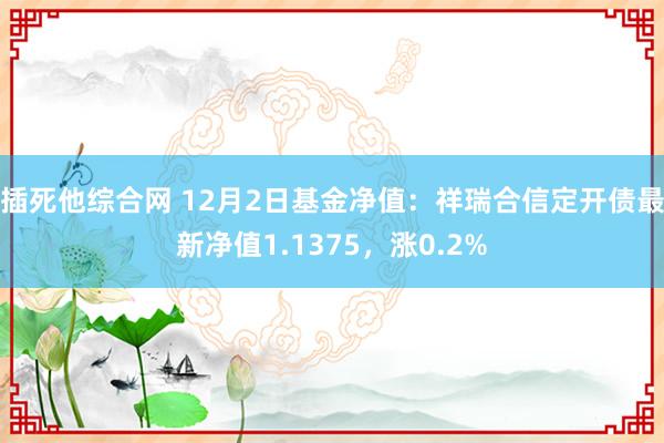 插死他综合网 12月2日基金净值：祥瑞合信定开债最新净值1.1375，涨0.2%