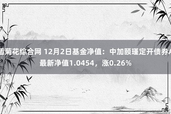 插菊花综合网 12月2日基金净值：中加颐瑾定开债券A最新净值1.0454，涨0.26%