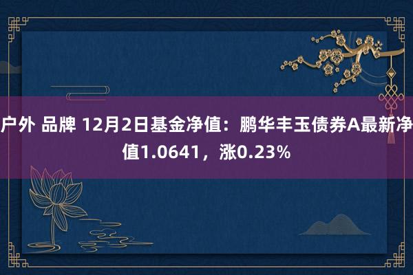 户外 品牌 12月2日基金净值：鹏华丰玉债券A最新净值1.0641，涨0.23%