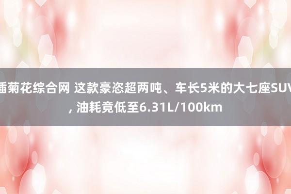 插菊花综合网 这款豪恣超两吨、车长5米的大七座SUV， 油耗竟低至6.31L/100km
