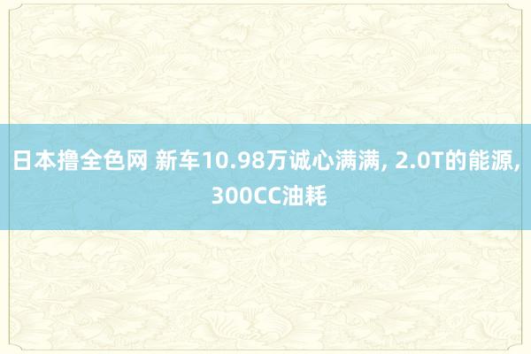 日本撸全色网 新车10.98万诚心满满， 2.0T的能源， 300CC油耗
