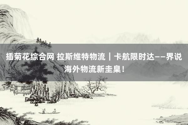 插菊花综合网 拉斯维特物流｜卡航限时达——界说海外物流新圭臬！