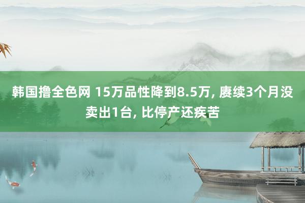 韩国撸全色网 15万品性降到8.5万， 赓续3个月没卖出1台， 比停产还疾苦