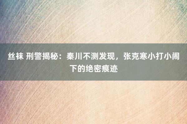 丝袜 刑警揭秘：秦川不测发现，张克寒小打小闹下的绝密痕迹