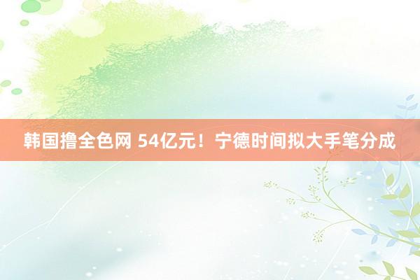 韩国撸全色网 54亿元！宁德时间拟大手笔分成