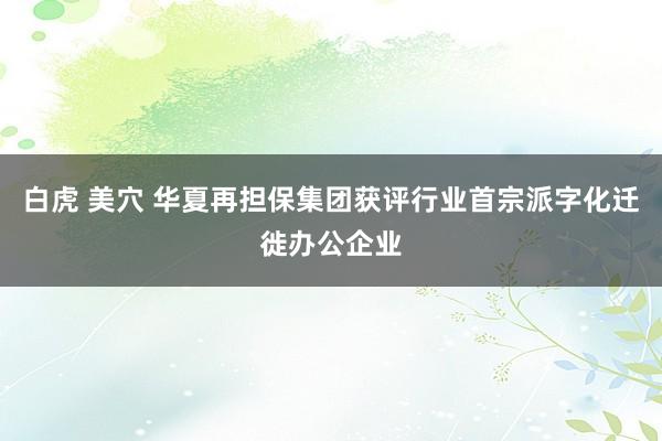 白虎 美穴 华夏再担保集团获评行业首宗派字化迁徙办公企业