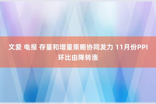 文爱 电报 存量和增量策略协同发力 11月份PPI环比由降转涨