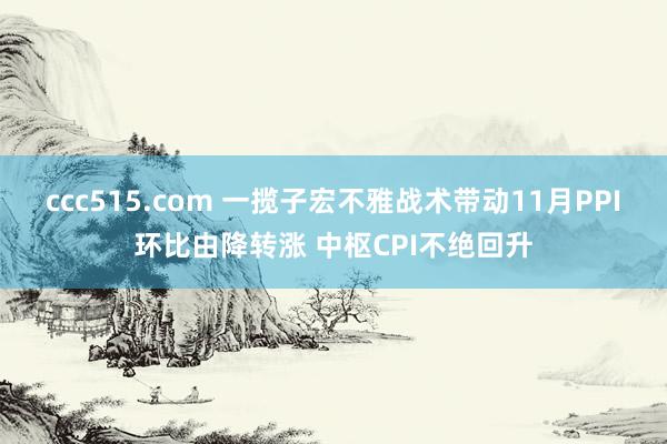 ccc515.com 一揽子宏不雅战术带动11月PPI环比由降转涨 中枢CPI不绝回升