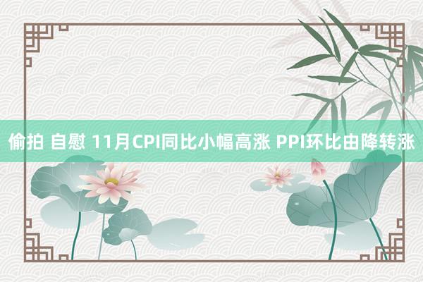 偷拍 自慰 11月CPI同比小幅高涨 PPI环比由降转涨