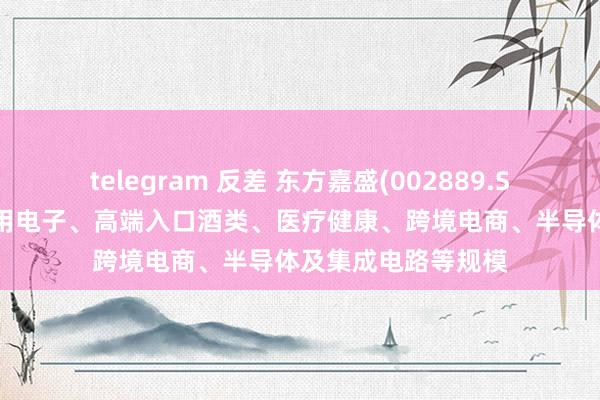 telegram 反差 东方嘉盛(002889.SZ)：现在已布局滥用电子、高端入口酒类、医疗健康、跨境电商、半导体及集成电路等规模