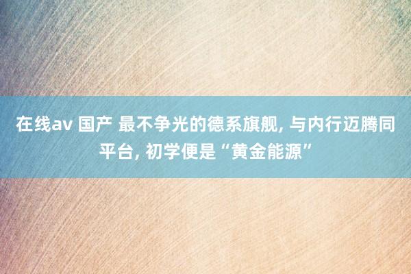 在线av 国产 最不争光的德系旗舰， 与内行迈腾同平台， 初学便是“黄金能源”