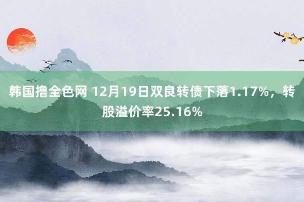 韩国撸全色网 12月19日双良转债下落1.17%，转股溢价率25.16%