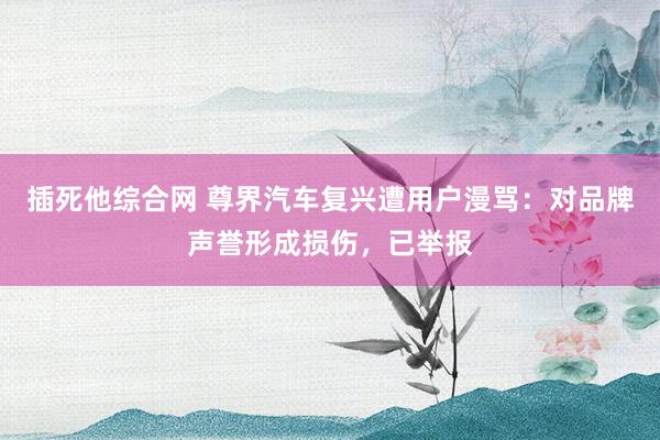 插死他综合网 尊界汽车复兴遭用户漫骂：对品牌声誉形成损伤，已举报