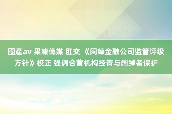 國產av 果凍傳媒 肛交 《阔绰金融公司监管评级方针》校正 强调合营机构经管与阔绰者保护