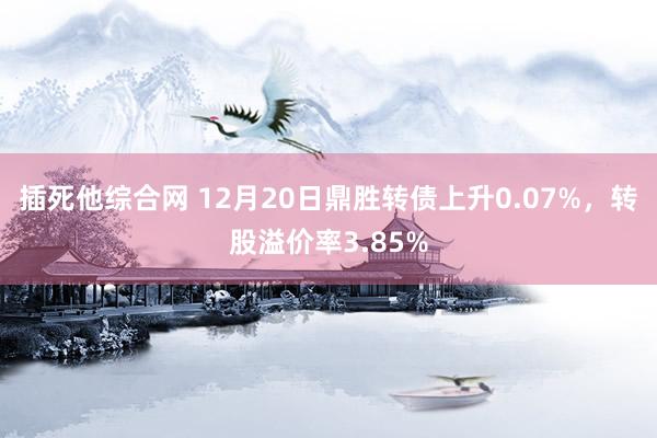 插死他综合网 12月20日鼎胜转债上升0.07%，转股溢价率3.85%