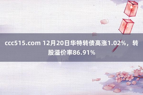 ccc515.com 12月20日华特转债高涨1.02%，转股溢价率86.91%