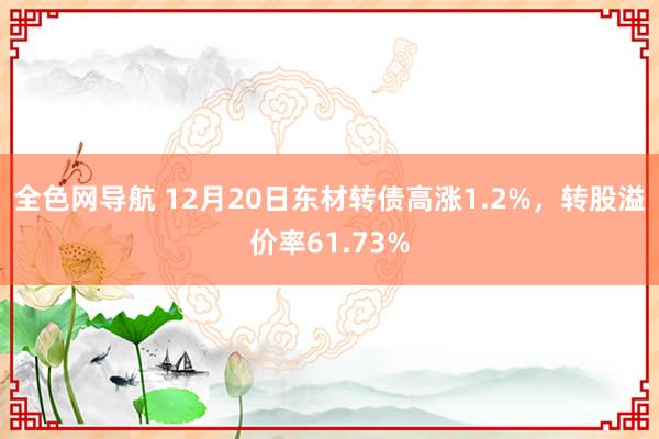 全色网导航 12月20日东材转债高涨1.2%，转股溢价率61.73%