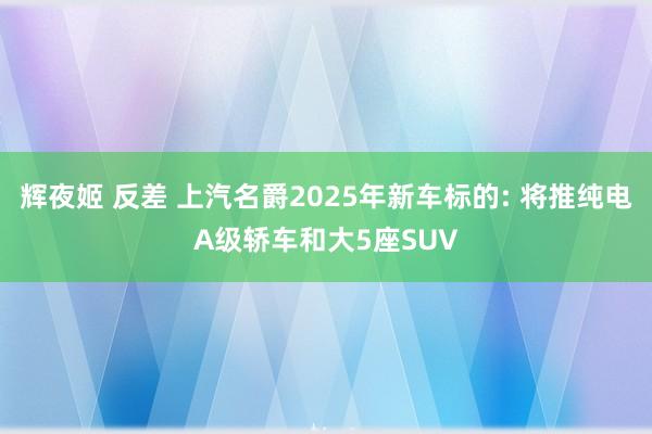 辉夜姬 反差 上汽名爵2025年新车标的: 将推纯电A级轿车和大5座SUV