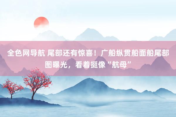 全色网导航 尾部还有惊喜！广船纵贯船面船尾部图曝光，看着挺像“航母”