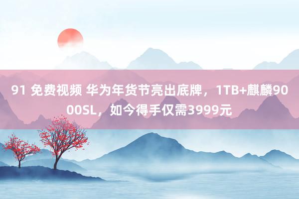 91 免费视频 华为年货节亮出底牌，1TB+麒麟9000SL，如今得手仅需3999元