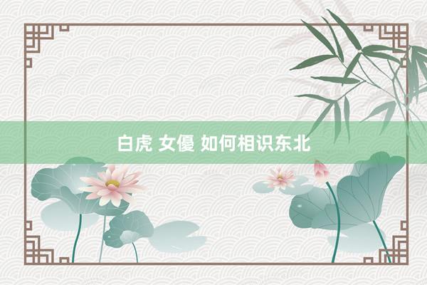 白虎 女優 如何相识东北