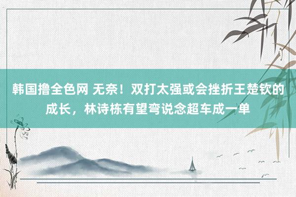 韩国撸全色网 无奈！双打太强或会挫折王楚钦的成长，林诗栋有望弯说念超车成一单