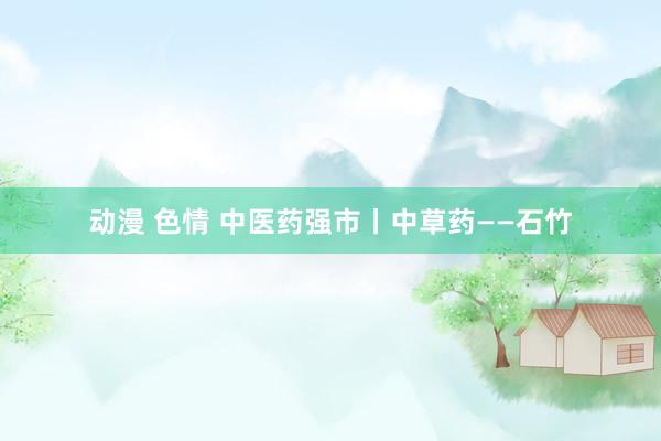 动漫 色情 中医药强市丨中草药——石竹