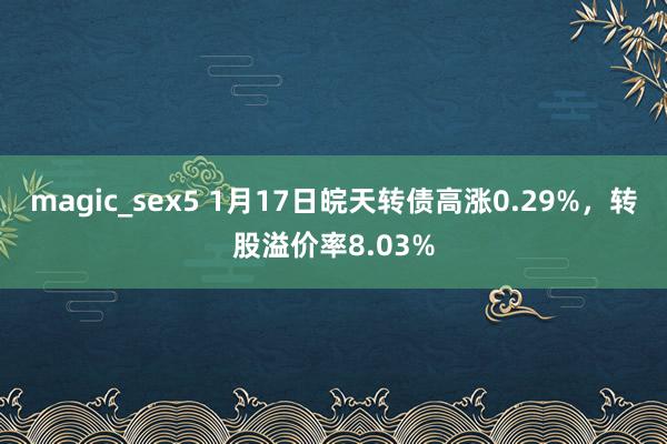 magic_sex5 1月17日皖天转债高涨0.29%，转股溢价率8.03%