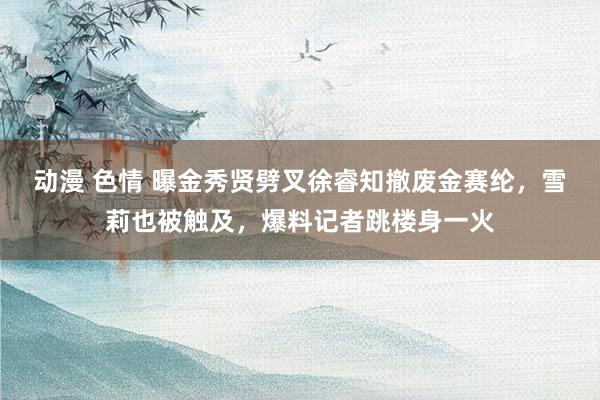 动漫 色情 曝金秀贤劈叉徐睿知撤废金赛纶，雪莉也被触及，爆料记者跳楼身一火