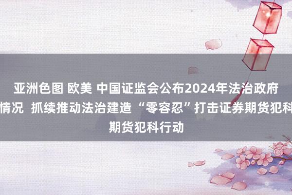 亚洲色图 欧美 中国证监会公布2024年法治政府建造情况  抓续推动法治建造 “零容忍”打击证券期货犯科行动