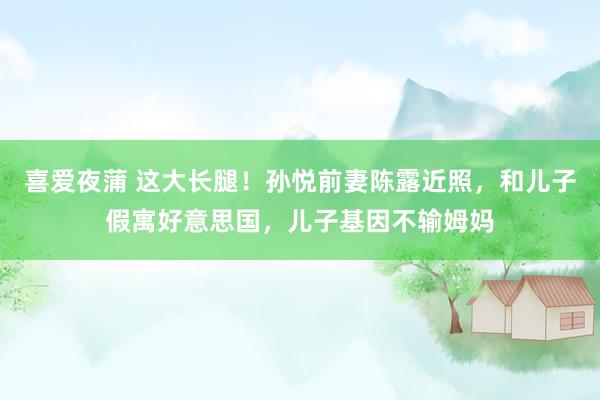 喜爱夜蒲 这大长腿！孙悦前妻陈露近照，和儿子假寓好意思国，儿子基因不输姆妈