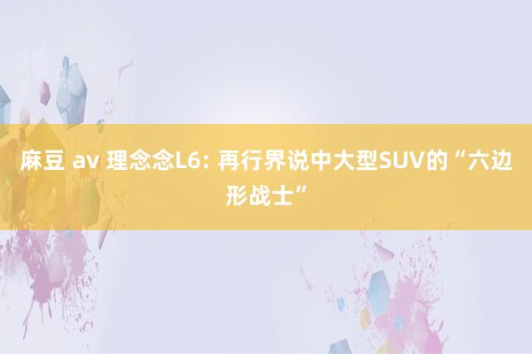 麻豆 av 理念念L6: 再行界说中大型SUV的“六边形战士”