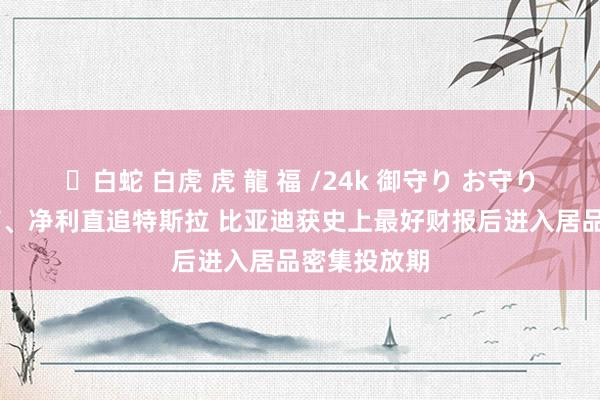 ✨白蛇 白虎 虎 龍 福 /24k 御守り お守り 营收革命高、净利直追特斯拉 比亚迪获史上最好财报后进入居品密集投放期
