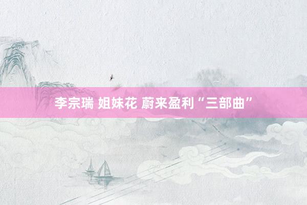 李宗瑞 姐妹花 蔚来盈利“三部曲”