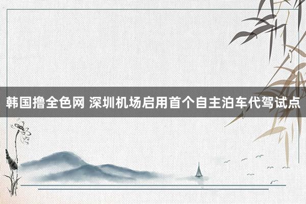 韩国撸全色网 深圳机场启用首个自主泊车代驾试点