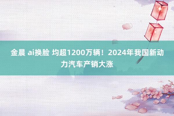 金晨 ai换脸 均超1200万辆！2024年我国新动力汽车产销大涨
